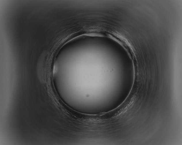 X0000095940529200801111332