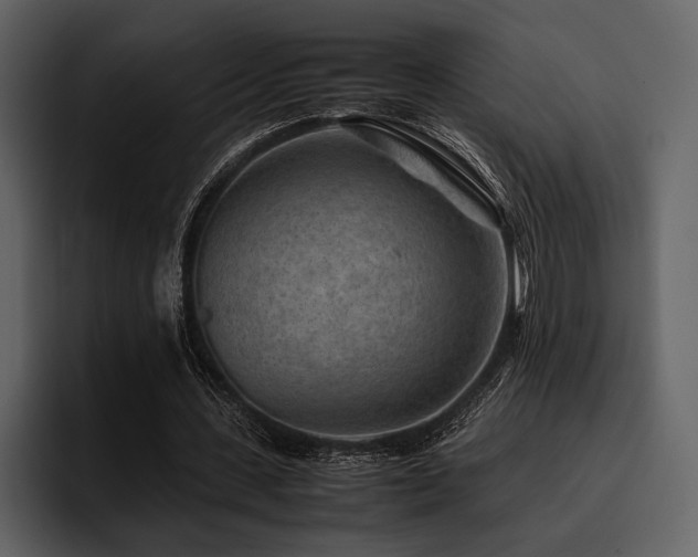 X0000095940531200801111332
