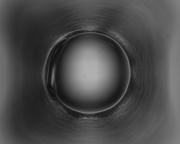 X0000095940532200801111332