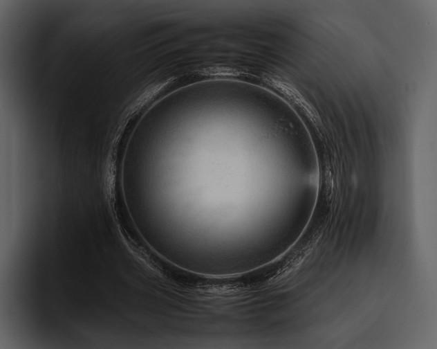 X0000095940533200801111332