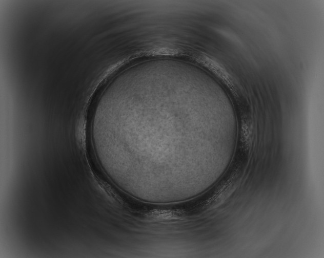 X0000095940534200801111332