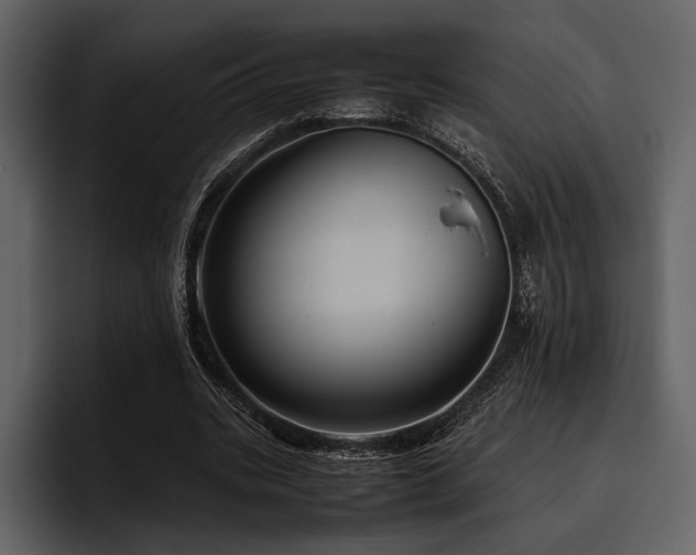 X0000095940535200801111332