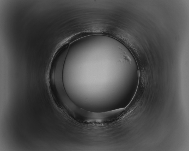 X0000095940536200801111332