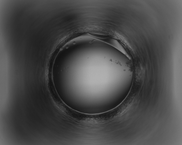 X0000095940538200801111332