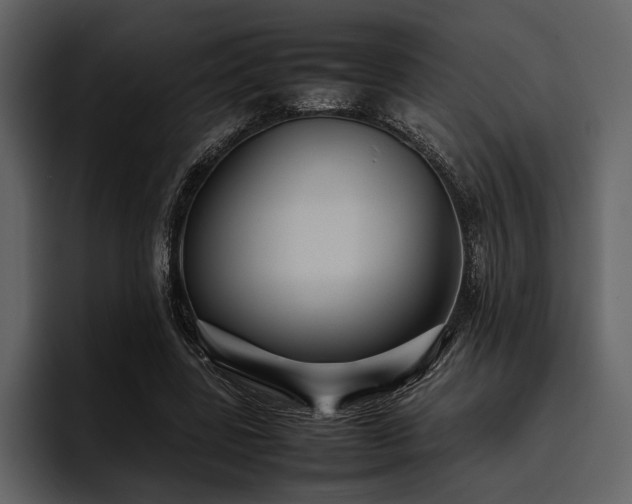 X0000095940539200801111332