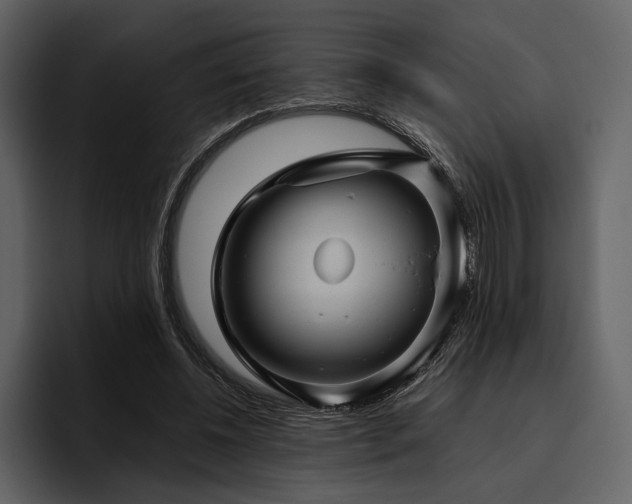 X0000095940540200801111332