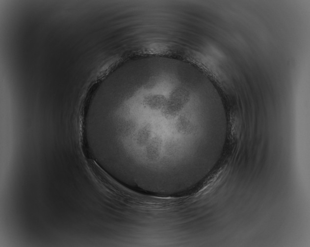 X0000095940542200801111332