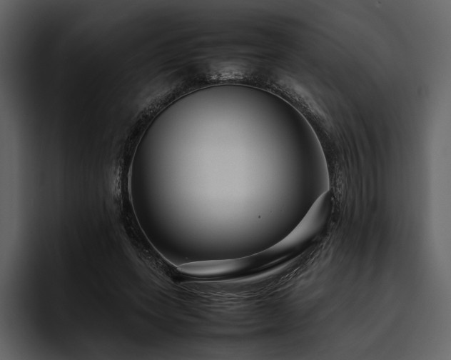 X0000095940543200801111332
