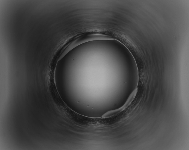 X0000095940544200801111332