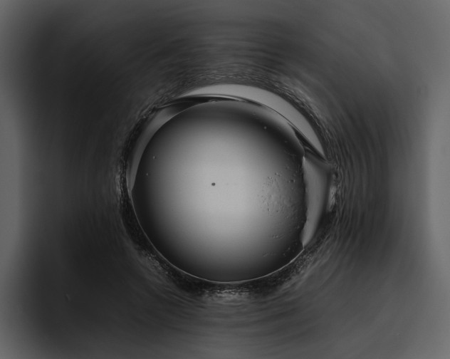 X0000095940546200801111332