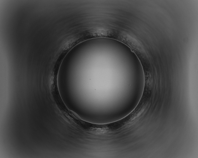 X0000095940548200801111332