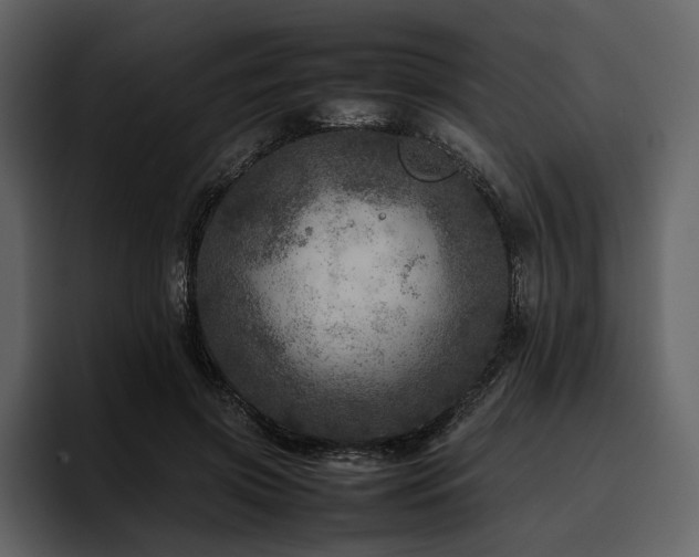 X0000095940549200801111332
