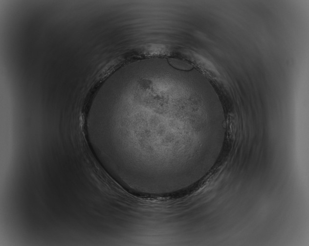 X0000095940550200801111332