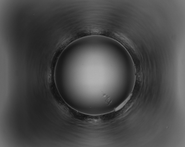 X0000095940552200801111332