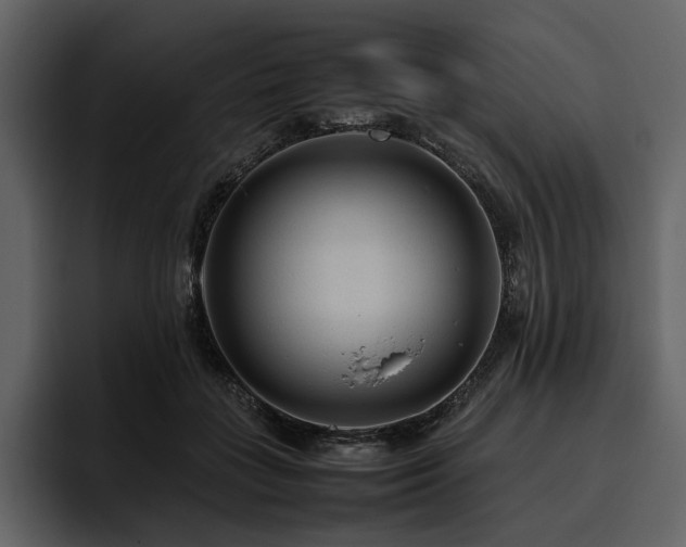 X0000095940555200801111332