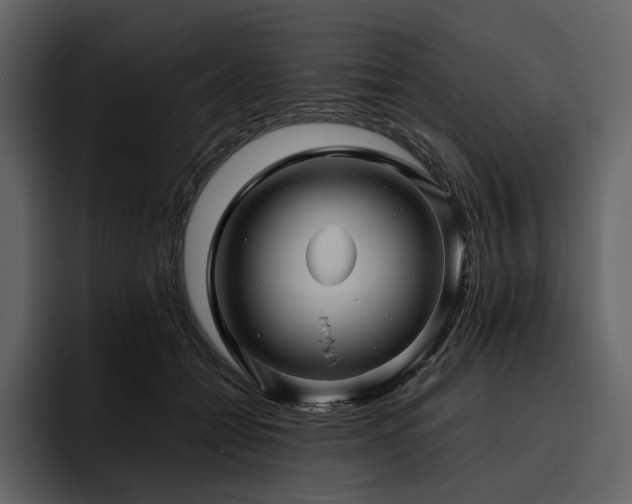 X0000095940558200801111332