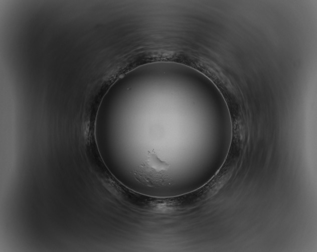 X0000095940564200801111332