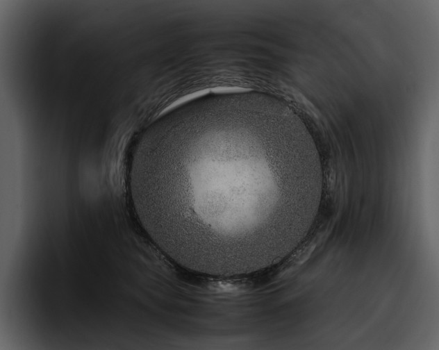 X0000095940565200801111332