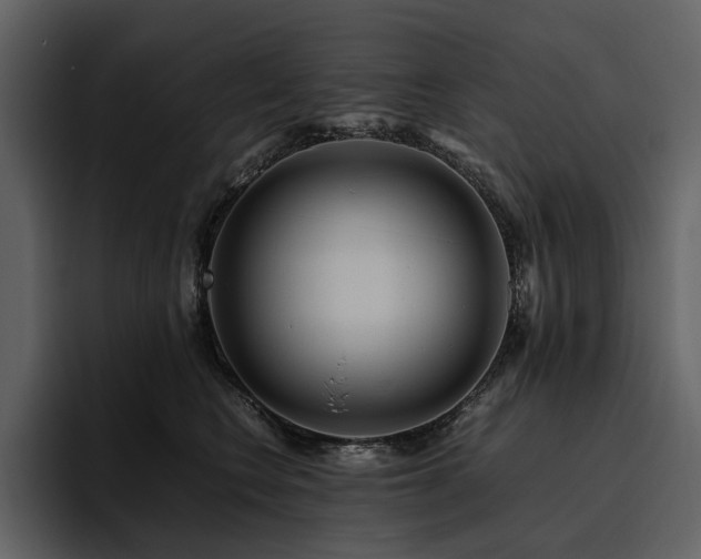 X0000095940566200801111332