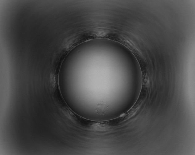 X0000095940568200801111332