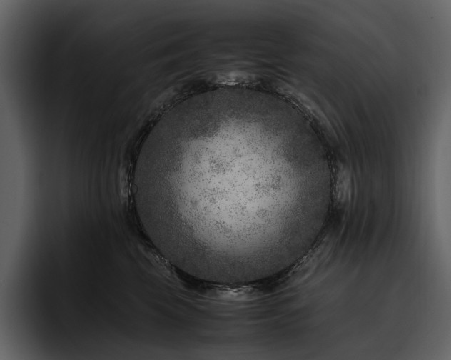 X0000095940569200801111332