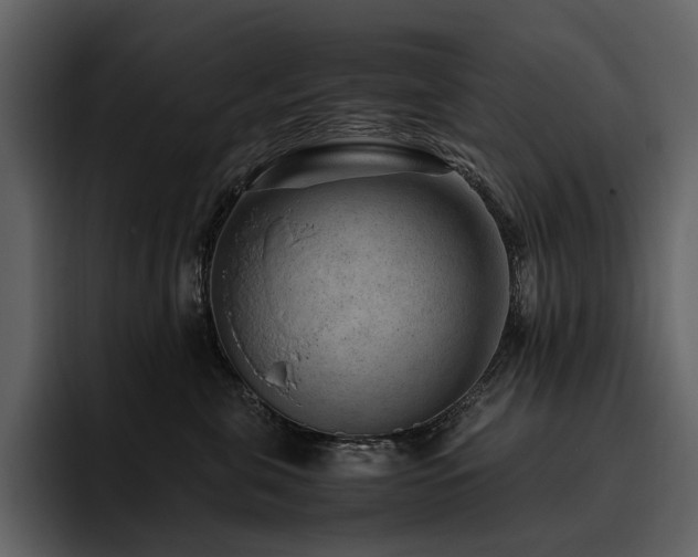 X0000095940571200801111332