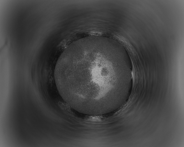 X0000095940573200801111332