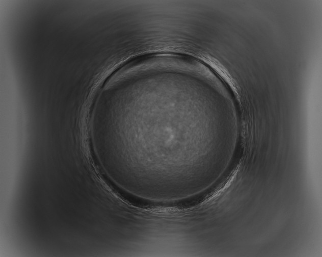 X0000095940577200801111332