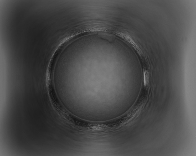 X0000095940579200801111331