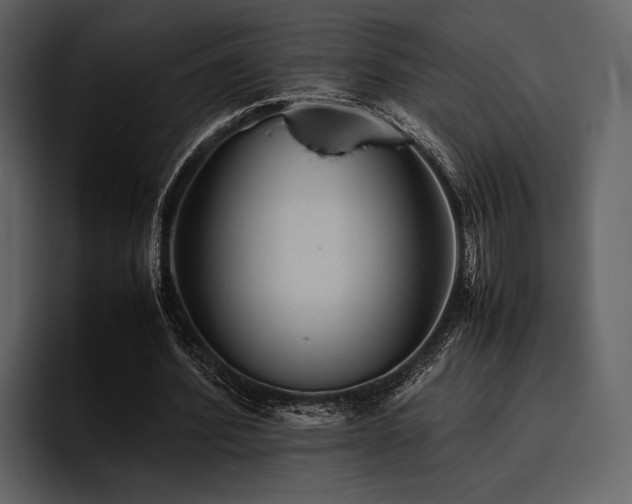 X0000095940580200801111331