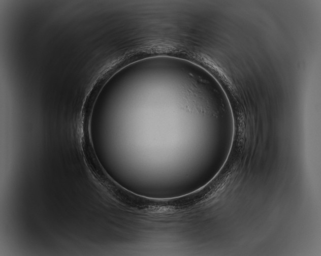 X0000095940582200801111331