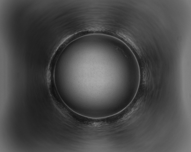 X0000095940584200801111331