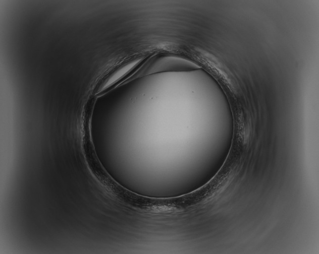 X0000095940586200801111331