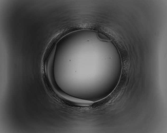 X0000095940587200801111331