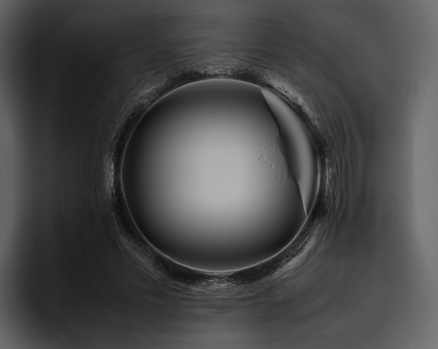 X0000095940589200801111331