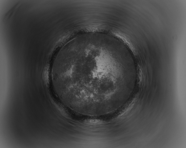 X0000095940590200801111331