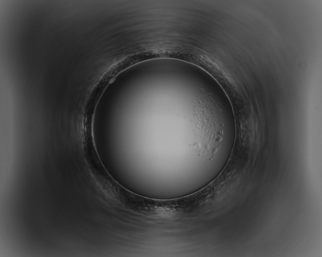 X0000095940592200801111331