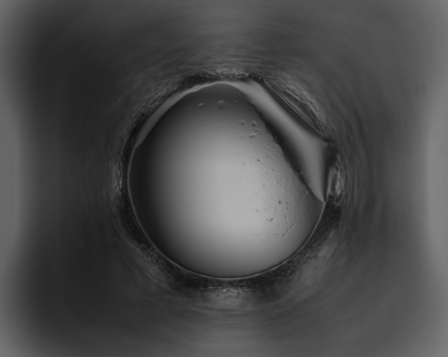 X0000095940593200801111331