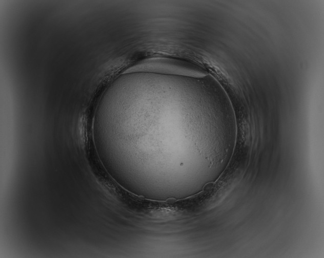 X0000095940594200801111331