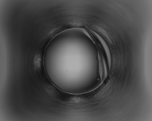 X0000095940596200801111331
