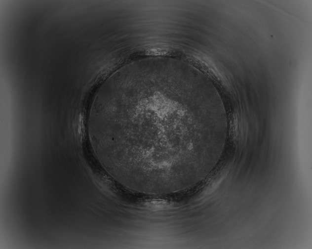 X0000095940598200801111331