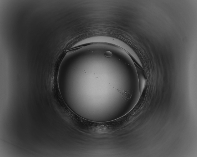 X0000095940600200801111331