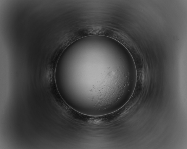 X0000095940602200801111331