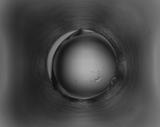 X0000095940604200801111331