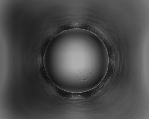 X0000095940605200801111331