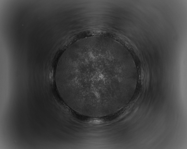X0000095940610200801111331