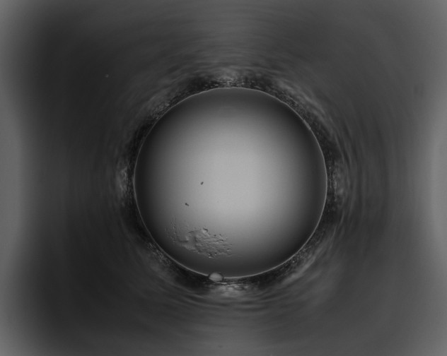 X0000095940611200801111331