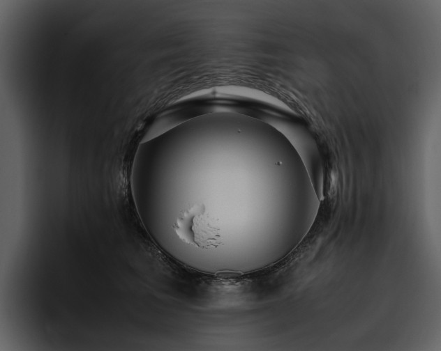 X0000095940613200801111331