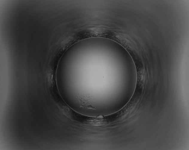 X0000095940615200801111331