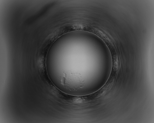 X0000095940616200801111331